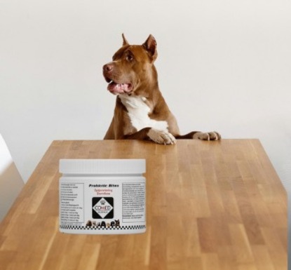 Probiotic Bites: an essential addition to your dog's diet