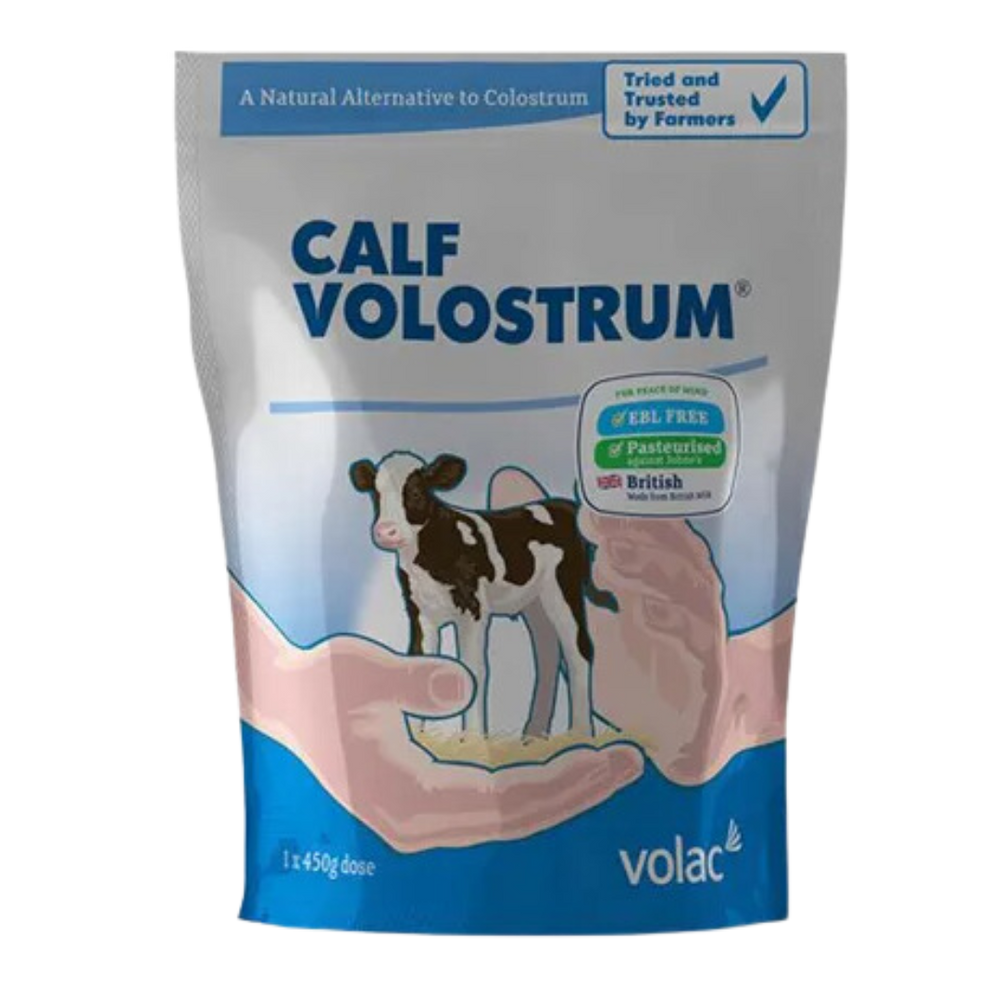 Volostrum Calf