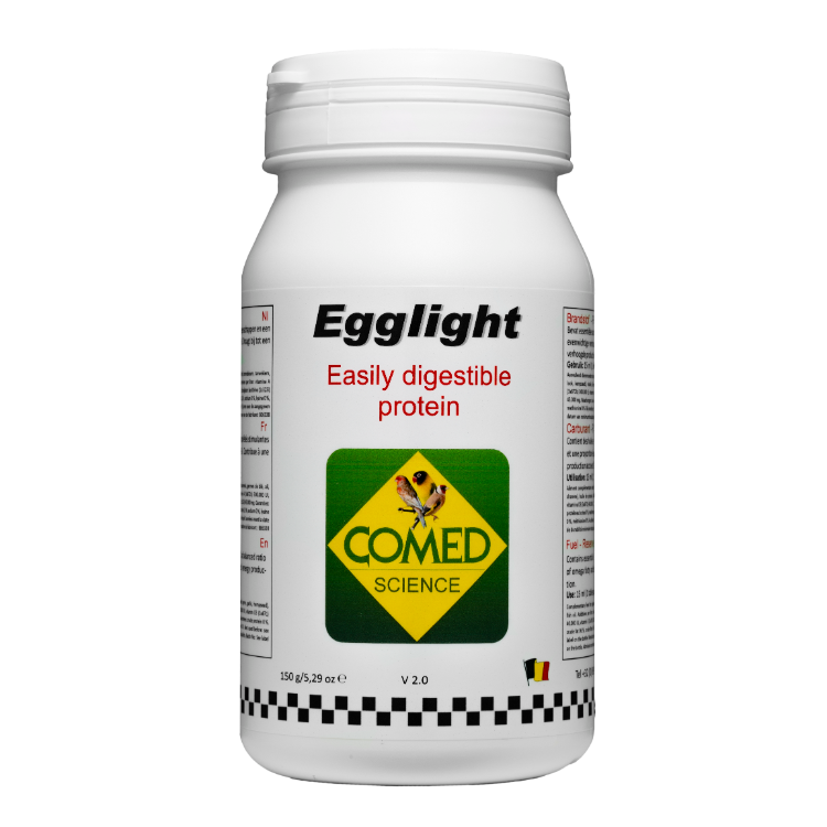 Egglight Bird